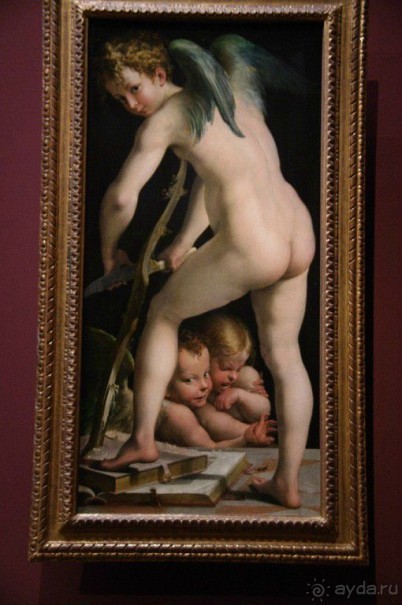 Нидерландская школа представлена 9 картинами Рогира ван дер Вейдена, Питера Брейгеля  Старшего, Иеронима Босха, Яна ван Эйка, единственная и уникальная картина голландского художника Вермеера Дельфтского, Рембрандт и Рубенс.