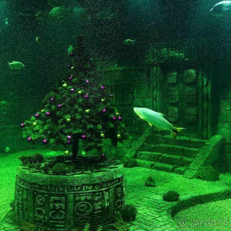 Москва предновогодняя, новогодняя, рождественская. 2016-2017.