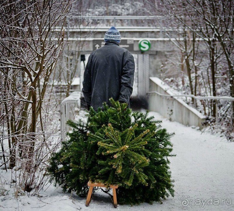 Москва предновогодняя, новогодняя, рождественская. 2016-2017.