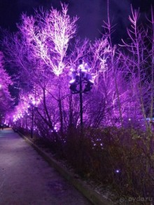 Прогулки по зимней Москве от католического Рождества до Крещения Господня.