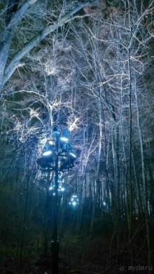 Прогулки по зимней Москве от католического Рождества до Крещения Господня.