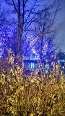 Прогулки по зимней Москве от католического Рождества до Крещения Господня.