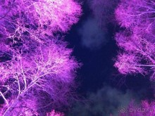 Прогулки по зимней Москве от католического Рождества до Крещения Господня.