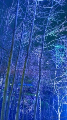 Прогулки по зимней Москве от католического Рождества до Крещения Господня.