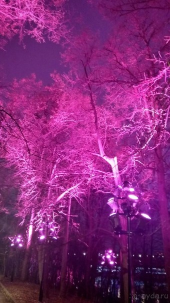 Прогулки по зимней Москве от католического Рождества до Крещения Господня.