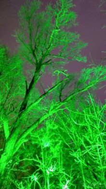 Прогулки по зимней Москве от католического Рождества до Крещения Господня.