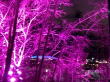 Прогулки по зимней Москве от католического Рождества до Крещения Господня.