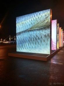 Прогулки по зимней Москве от католического Рождества до Крещения Господня.