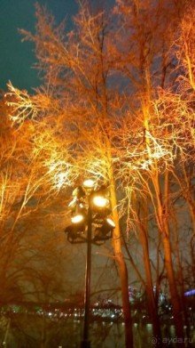 Прогулки по зимней Москве от католического Рождества до Крещения Господня.