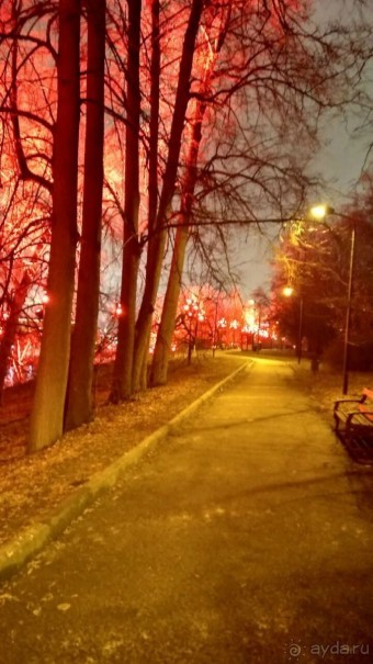 Прогулки по зимней Москве от католического Рождества до Крещения Господня.