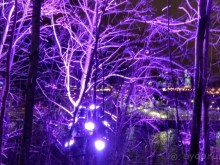 Прогулки по зимней Москве от католического Рождества до Крещения Господня.