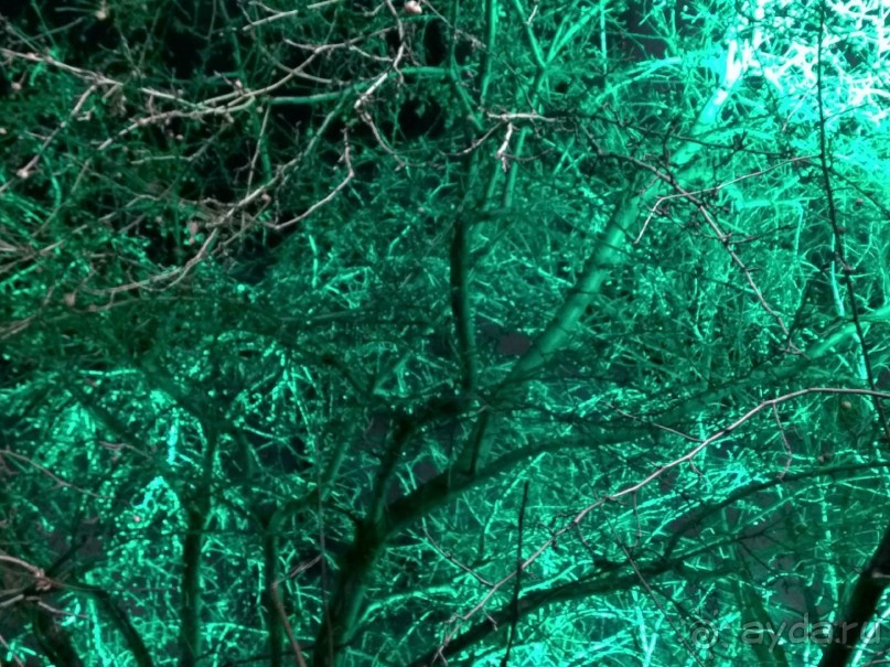 Прогулки по зимней Москве от католического Рождества до Крещения Господня.