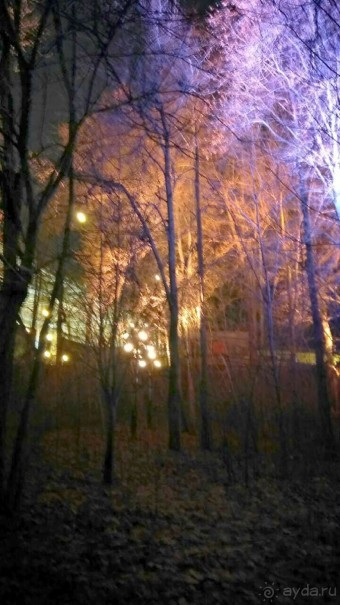 Прогулки по зимней Москве от католического Рождества до Крещения Господня.