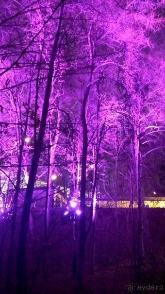 Прогулки по зимней Москве от католического Рождества до Крещения Господня.