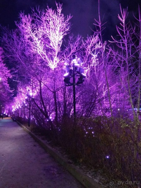 Прогулки по зимней Москве от католического Рождества до Крещения Господня.