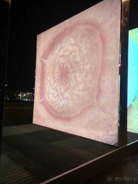 Прогулки по зимней Москве от католического Рождества до Крещения Господня.