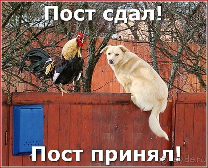 Прогулки по зимней Москве от католического Рождества до Крещения Господня.