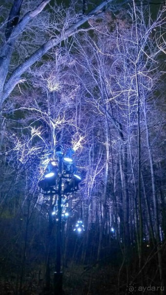 Прогулки по зимней Москве от католического Рождества до Крещения Господня.