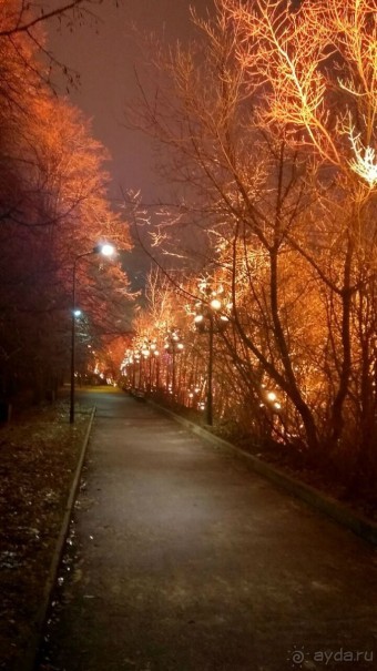 Прогулки по зимней Москве от католического Рождества до Крещения Господня.