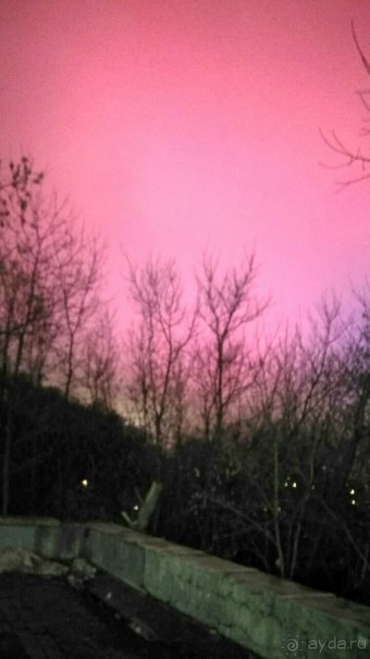 Прогулки по зимней Москве от католического Рождества до Крещения Господня.