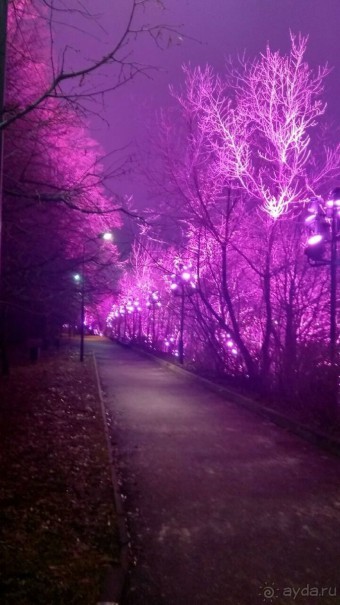 Прогулки по зимней Москве от католического Рождества до Крещения Господня.