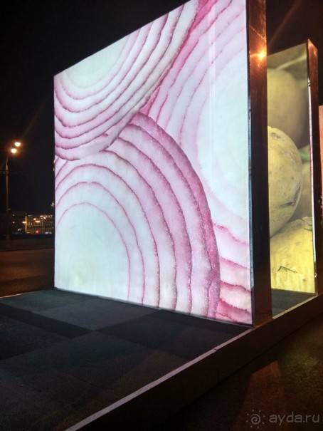 Прогулки по зимней Москве от католического Рождества до Крещения Господня.