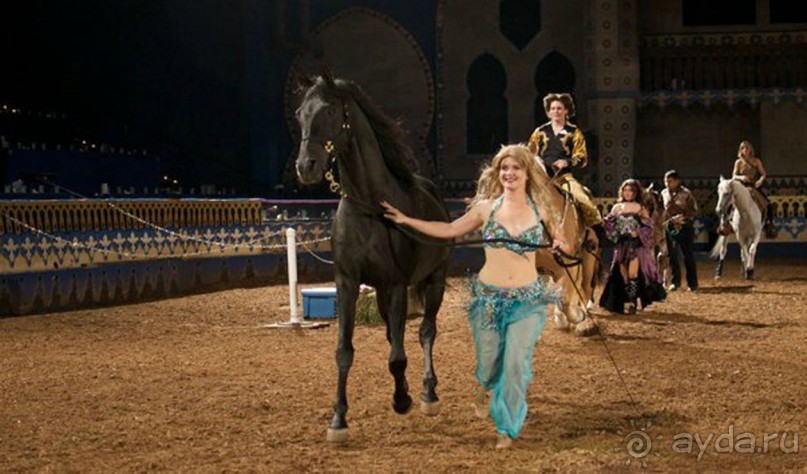 Альбом отзыва "Шоу 1001 ночь - шоу " за стеклом". Египет, Хургада"