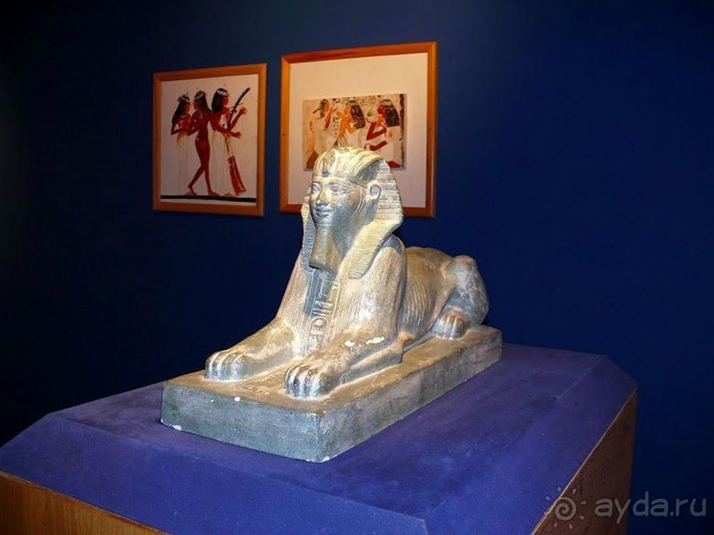 Шоу 1001 ночь - шоу " за стеклом". Египет, Хургада