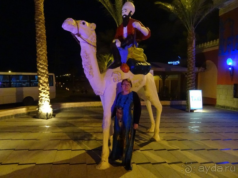 Шоу 1001 ночь - шоу " за стеклом". Египет, Хургада