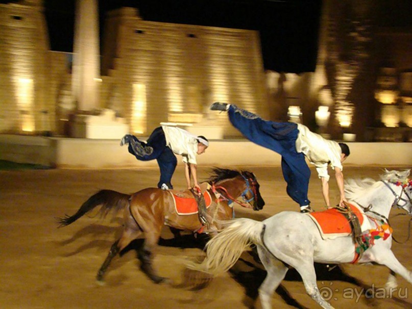 Шоу 1001 ночь - шоу " за стеклом". Египет, Хургада