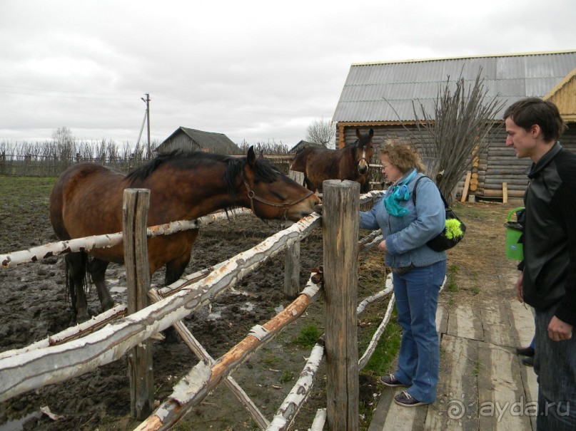 На автомобиле по Золотому Кольцу - Мартыново.