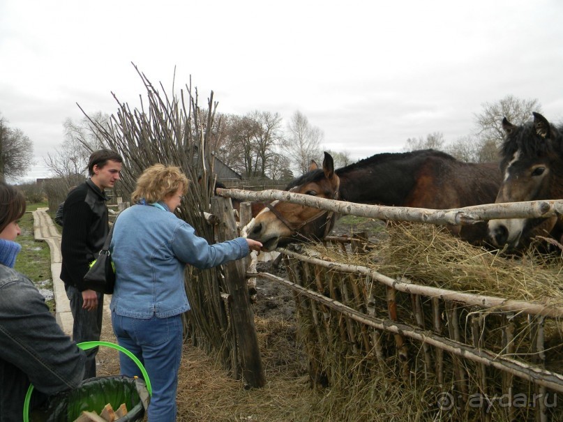 На автомобиле по Золотому Кольцу - Мартыново.