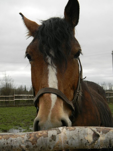 На автомобиле по Золотому Кольцу - Мартыново.