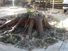 На автомобиле по Золотому кольцу. Суздаль.