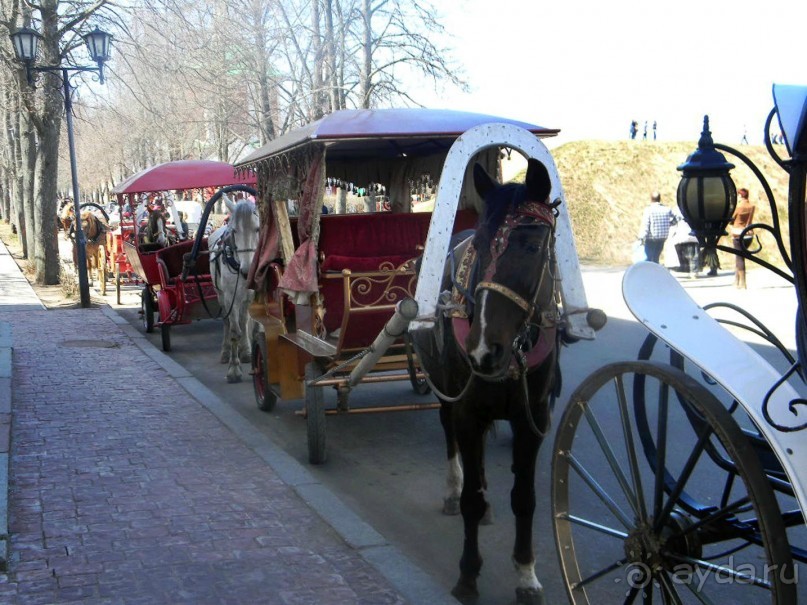 На автомобиле по Золотому кольцу. Суздаль.