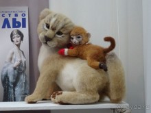 Кукольный рай в Гостином дворе.  Фотогалерея.