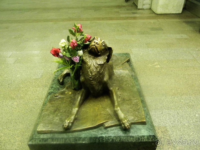  Монумент (благотворительная работа скульптора Александра Цигаля, художника-анималиста Сергея Цигаля и архитектора Андрея Налича) представляет собой большой гранитный постамент, на котором лежит вычесывающая блох бронзовая беспородная собака. 