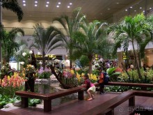 Тайланд навсегда....Часть 1. Паттайя