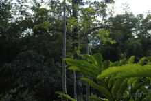 Альбом отзыва "Тайланд. Двухдневная экскурсия на реку Квай."