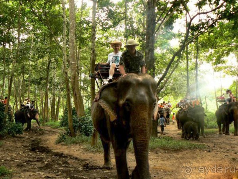 Альбом отзыва "Тайланд. Двухдневная экскурсия на реку Квай."
