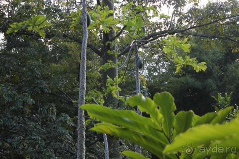 Тайланд. Двухдневная экскурсия на реку Квай.