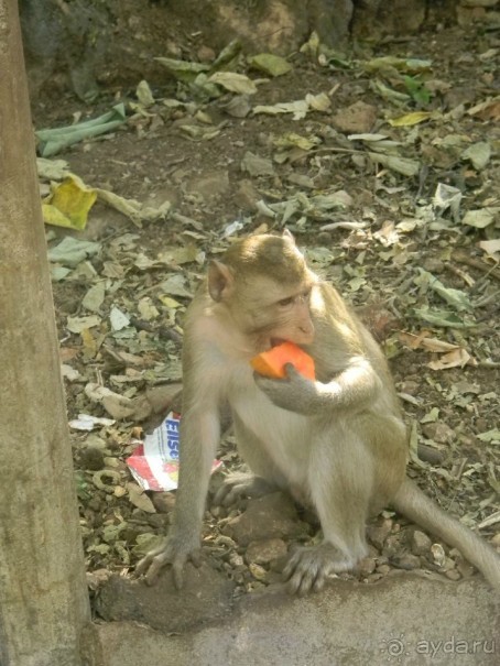 Тайланд. Двухдневная экскурсия на реку Квай.