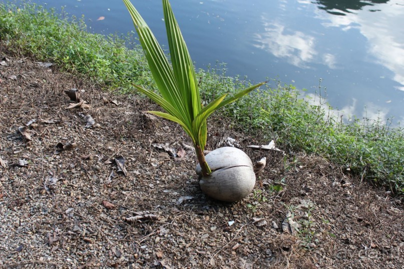 Тайланд. Двухдневная экскурсия на реку Квай.