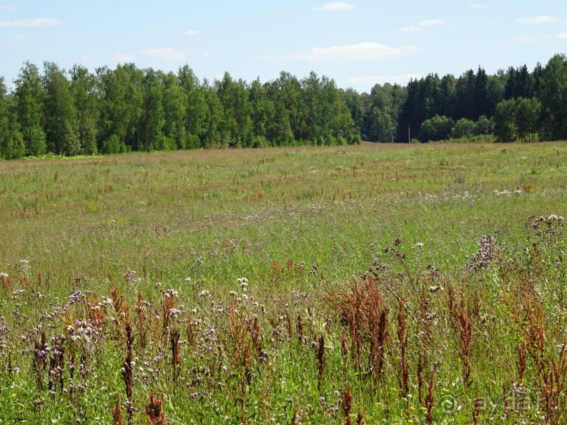 "Не даром помнит вся Россия про день Бородина"....