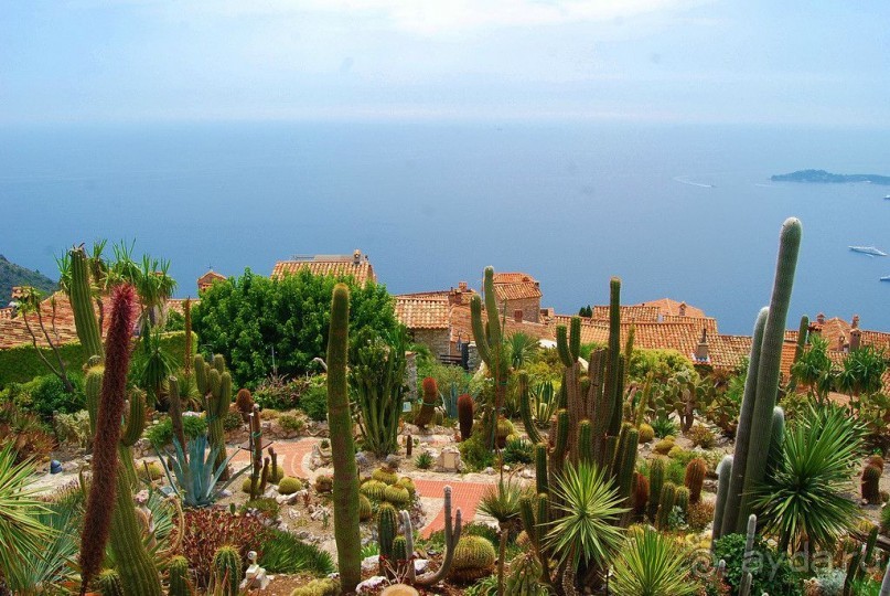 Жемчужина Лазурного берега - средневековая деревня Эз.