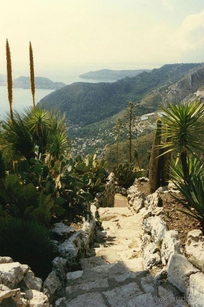 Жемчужина Лазурного берега - средневековая деревня Эз.