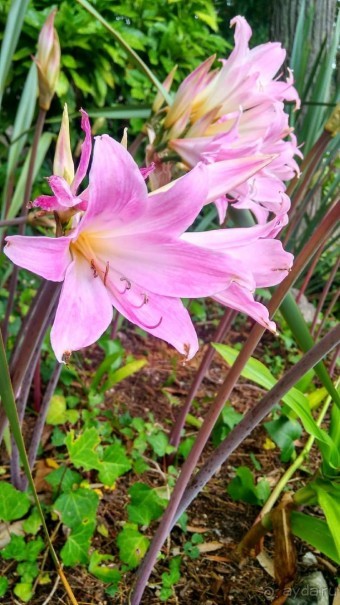 Самостоятельно по Португалии и Испании. Ч.2 - Португалия : Синтра и Мыс Рока.