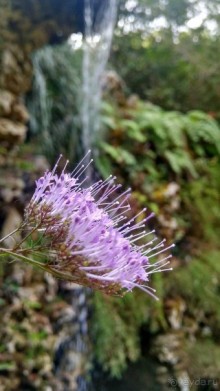 Самостоятельно по Португалии и Испании. Ч.2 - Португалия : Синтра и Мыс Рока.