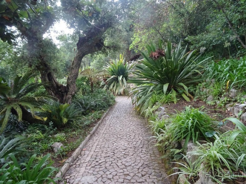 Самостоятельно по Португалии и Испании. Ч.2 - Португалия : Синтра и Мыс Рока.