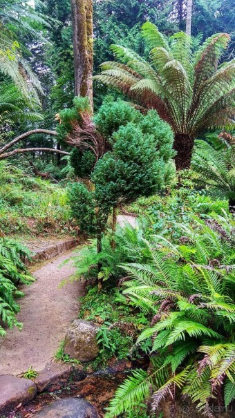 Самостоятельно по Португалии и Испании. Ч.2 - Португалия : Синтра и Мыс Рока.